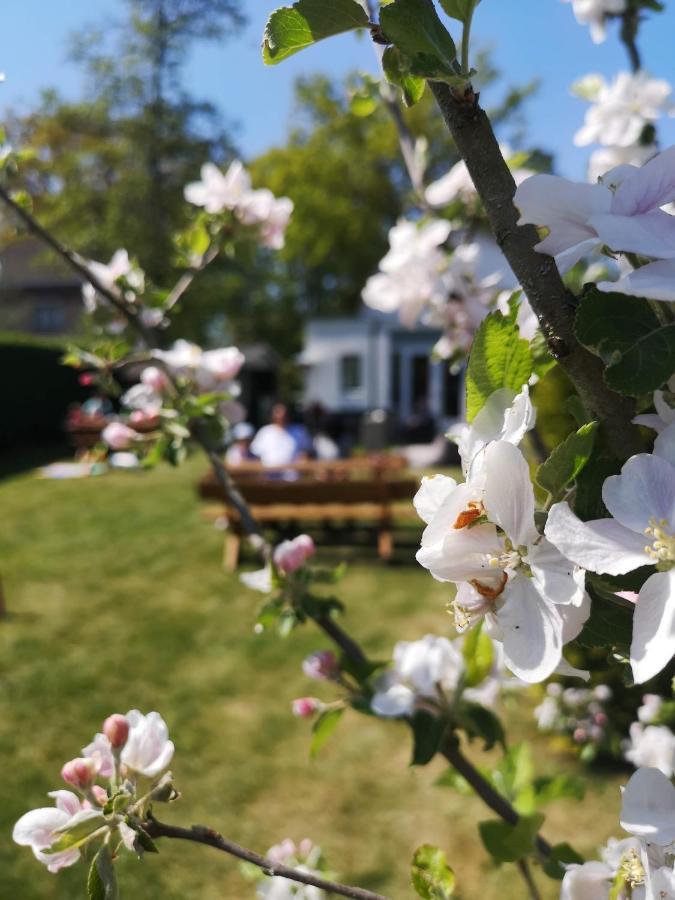 B&B De Koffietuin Beekbergen Esterno foto